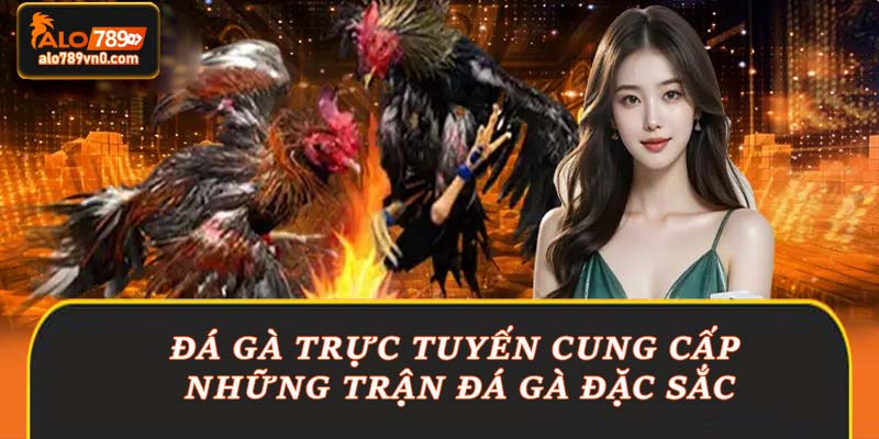 Đá gà trực tuyến cung cấp những trận đá gà đặc sắc