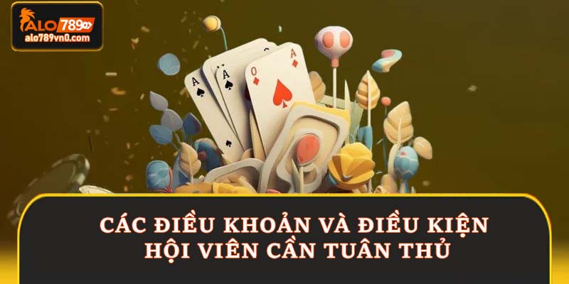 Các điều khoản và điều kiện hội viên cần tuân thủ