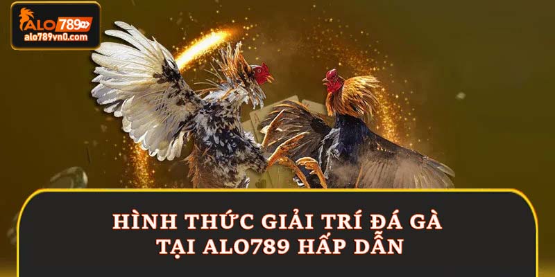 Hình thức giải trí đá gà tại Alo789 hấp dẫn