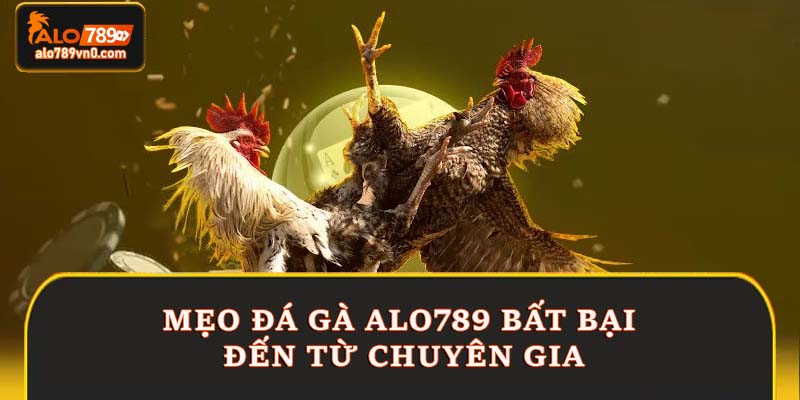 Mẹo đá gà Alo789 bất bại đến từ chuyên gia